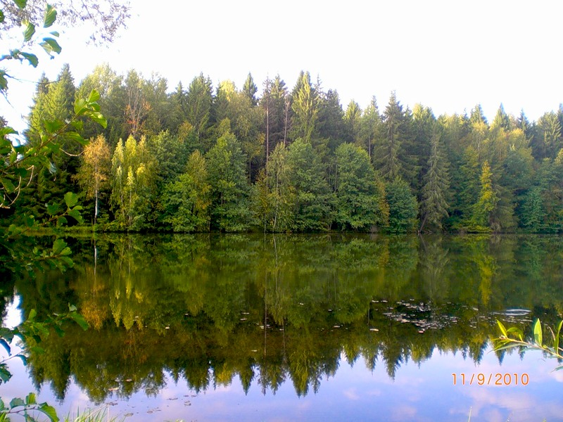 Рыбалка на реке Угодка в Жуковском районе: подробная информация